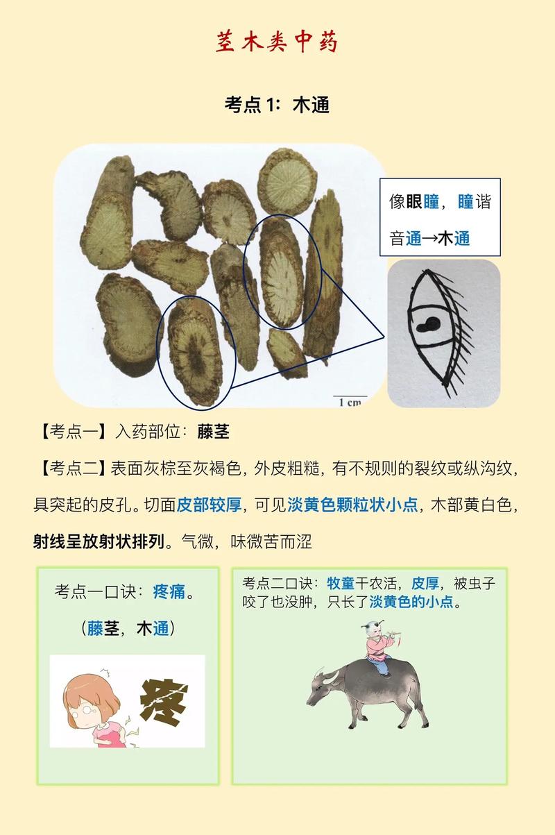 印源印度代购希爱力是真的吗？避坑指南与正品鉴别全攻略